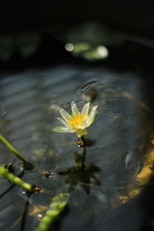 f:id:JACK:20140916135235j:image
