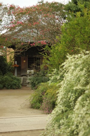 f:id:JACK:20140918083822j:image