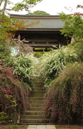 f:id:JACK:20140918091534j:image