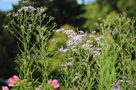 f:id:JACK:20140921102925j:image