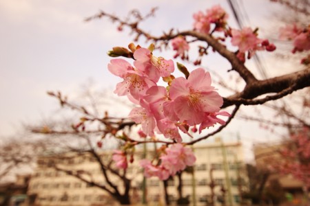 f:id:JACK:20150225133151j:image