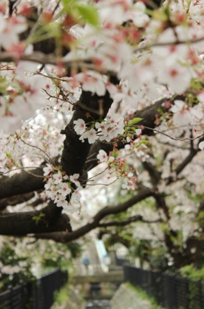 f:id:JACK:20150403104651j:image