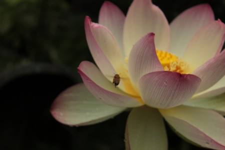 f:id:JACK:20150704080305j:image f:id:JACK:20150704080305j:image