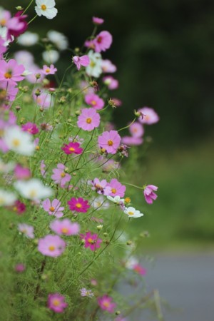 f:id:JACK:20151006110504j:image
