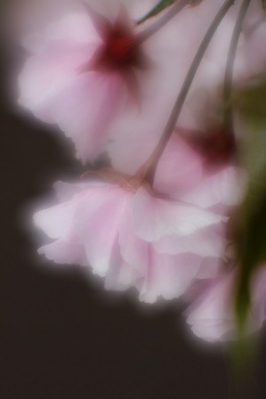 f:id:JACK:20160419133407j:image