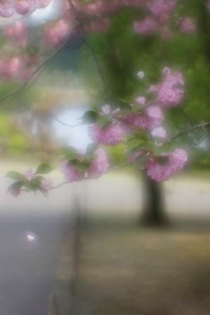 f:id:JACK:20160419140855j:image