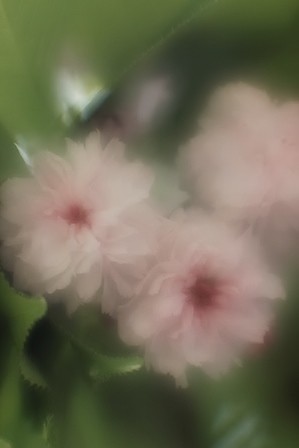 f:id:JACK:20160419143913j:image