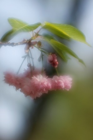 f:id:JACK:20160419145239j:image