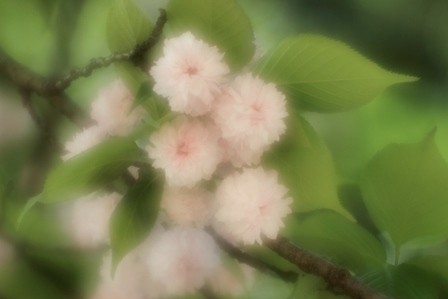 f:id:JACK:20160419145950j:image