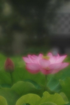 f:id:JACK:20160725075039j:image