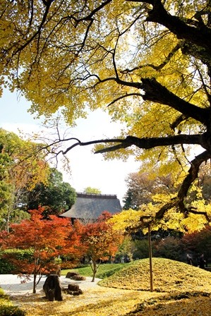 f:id:JACK:20161118113419j:image f:id:JACK:20161118113419j:image