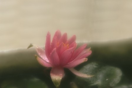 f:id:JACK:20170625103238j:image