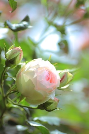 f:id:JACK:20180512115252j:image