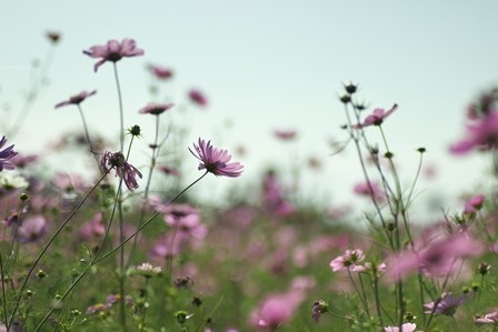 f:id:JACK:20181025134750j:image f:id:JACK:20181025134750j:image