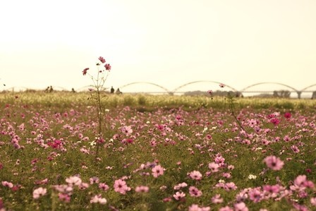 f:id:JACK:20181025154929j:image f:id:JACK:20181025154929j:image