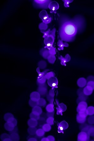 f:id:JACK:20181208184854j:image