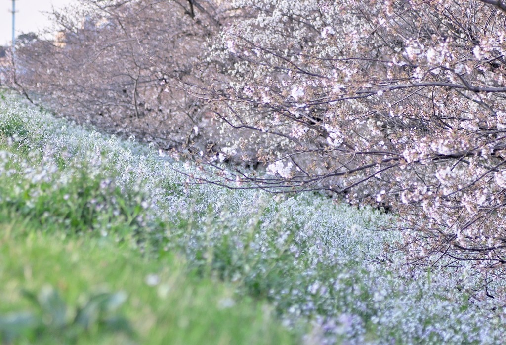 f:id:JACK:20210323174819j:plain