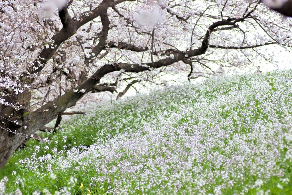 f:id:JACK:20210325133413j:plain