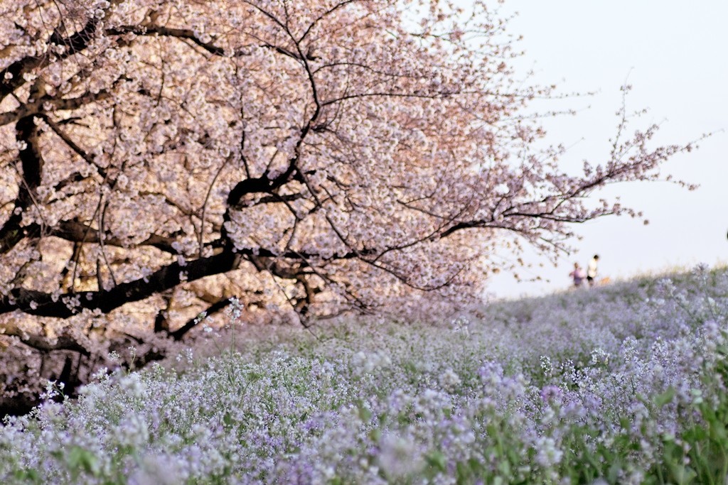 f:id:JACK:20210326173544j:plain