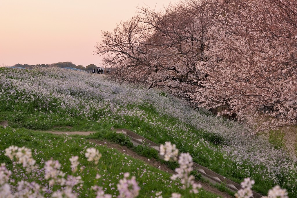 f:id:JACK:20210326180032j:plain