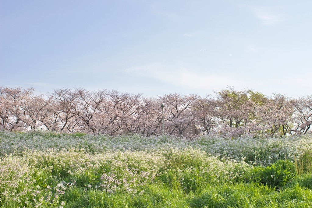 f:id:JACK:20210327080216j:plain