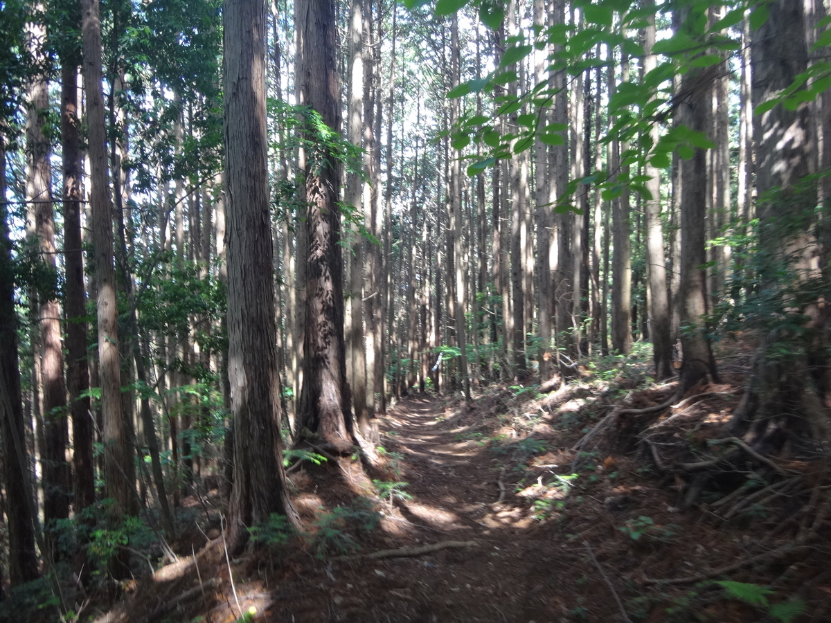 f:id:JAM-Style:20190617121455j:plain f:id:JAM-Style:20190617121455j:plain
