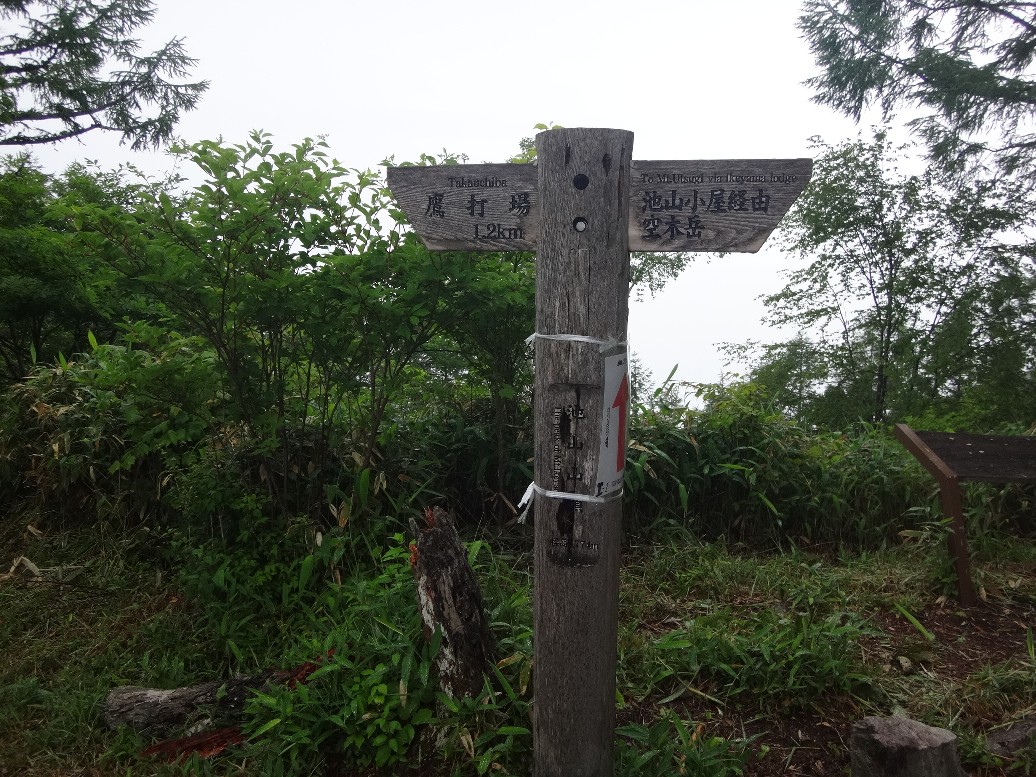 f:id:JAM-Style:20190708121534j:plain f:id:JAM-Style:20190708121534j:plain