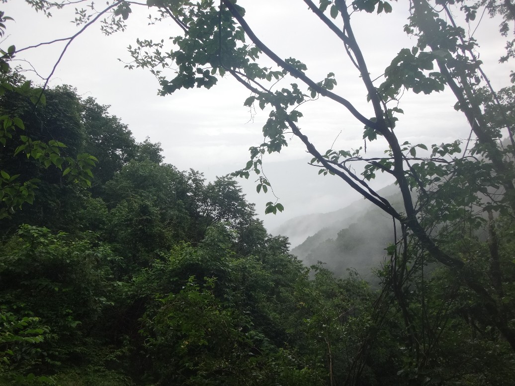f:id:JAM-Style:20190708140239j:plain f:id:JAM-Style:20190708140239j:plain