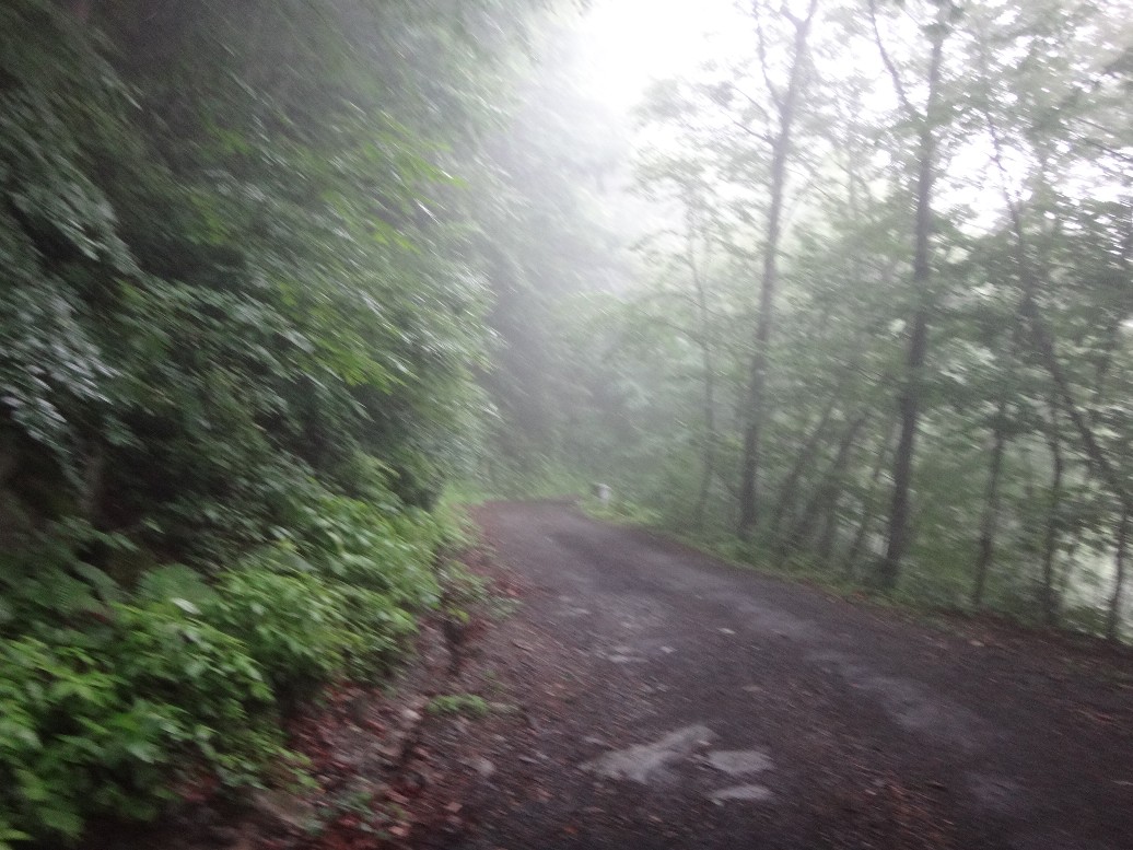 f:id:JAM-Style:20190708140308j:plain f:id:JAM-Style:20190708140308j:plain