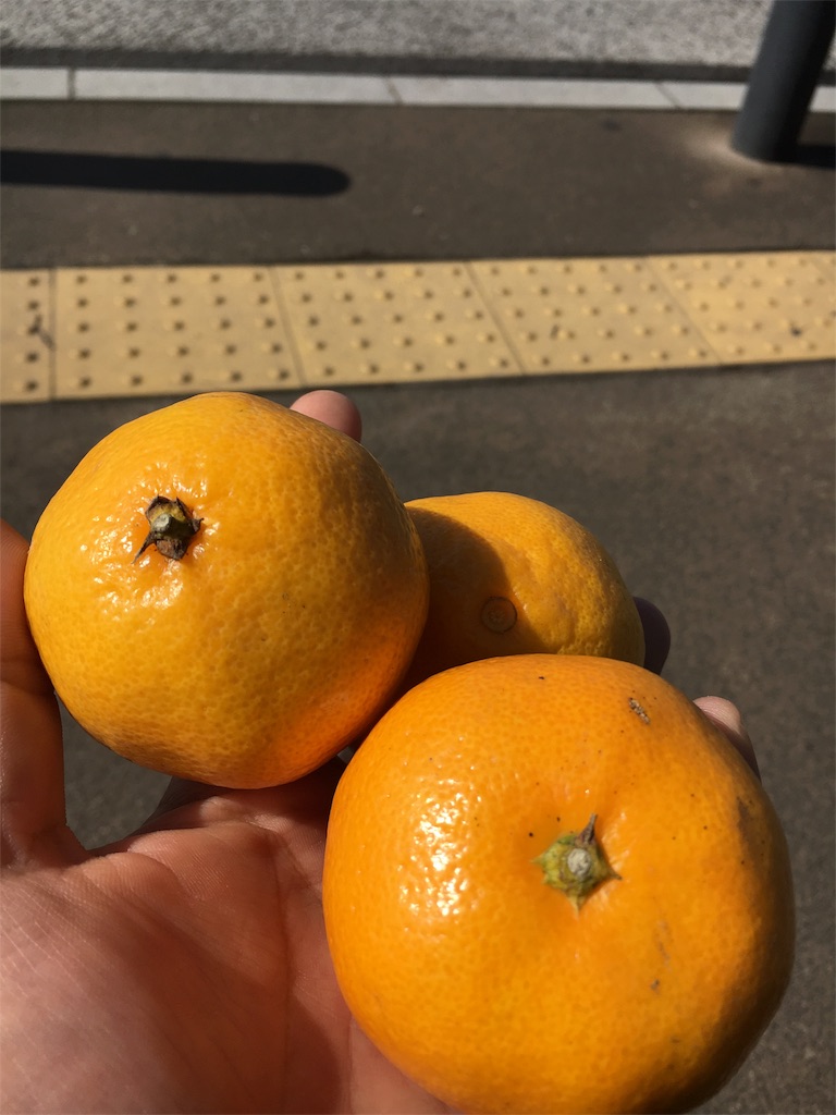 f:id:JAM21719800303:20171101073445j:image