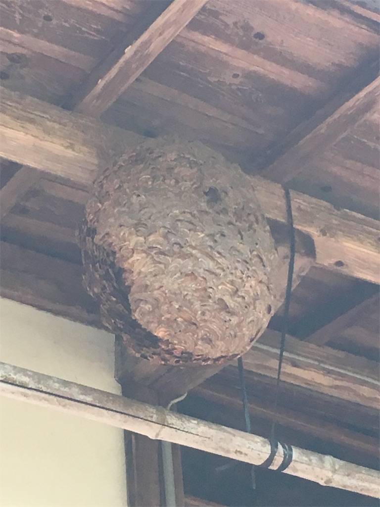 f:id:JAM21719800303:20171101195048j:image f:id:JAM21719800303:20171101195048j:image