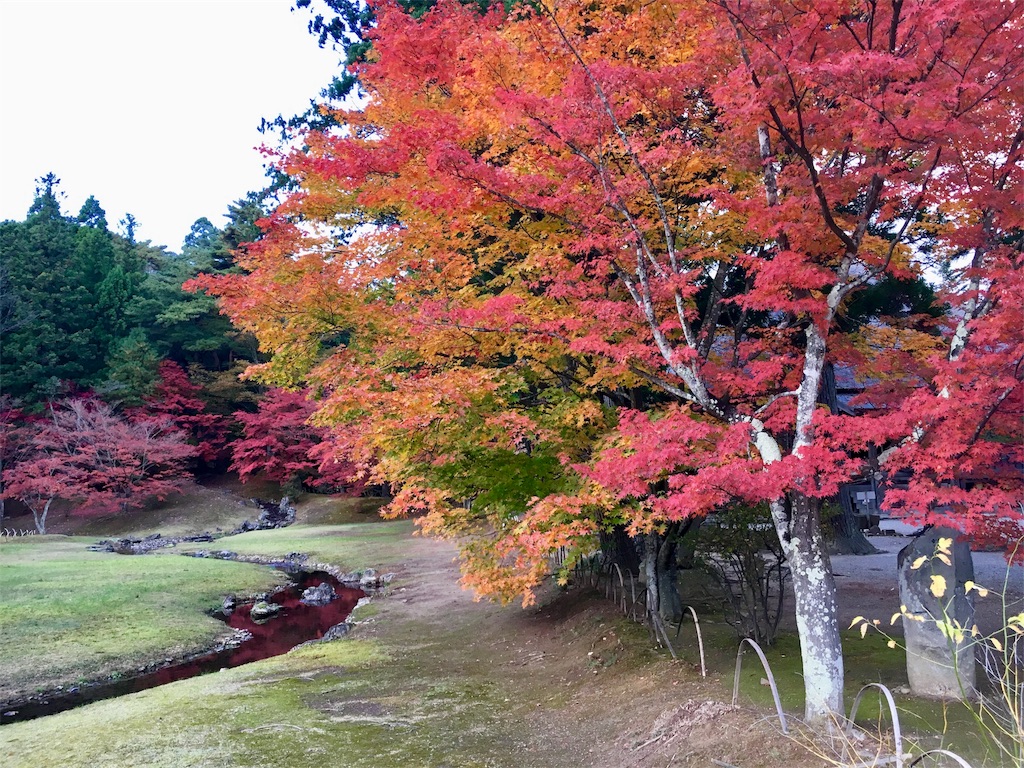 f:id:JAM21719800303:20171103183435j:image f:id:JAM21719800303:20171103183435j:image