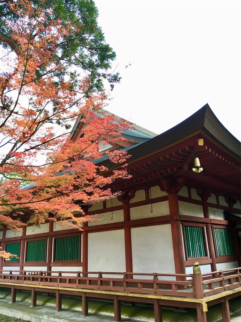 f:id:JAM21719800303:20171103183726j:image f:id:JAM21719800303:20171103183726j:image