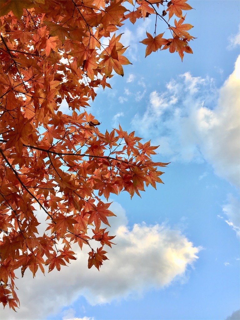 f:id:JAM21719800303:20171103183733j:image f:id:JAM21719800303:20171103183733j:image