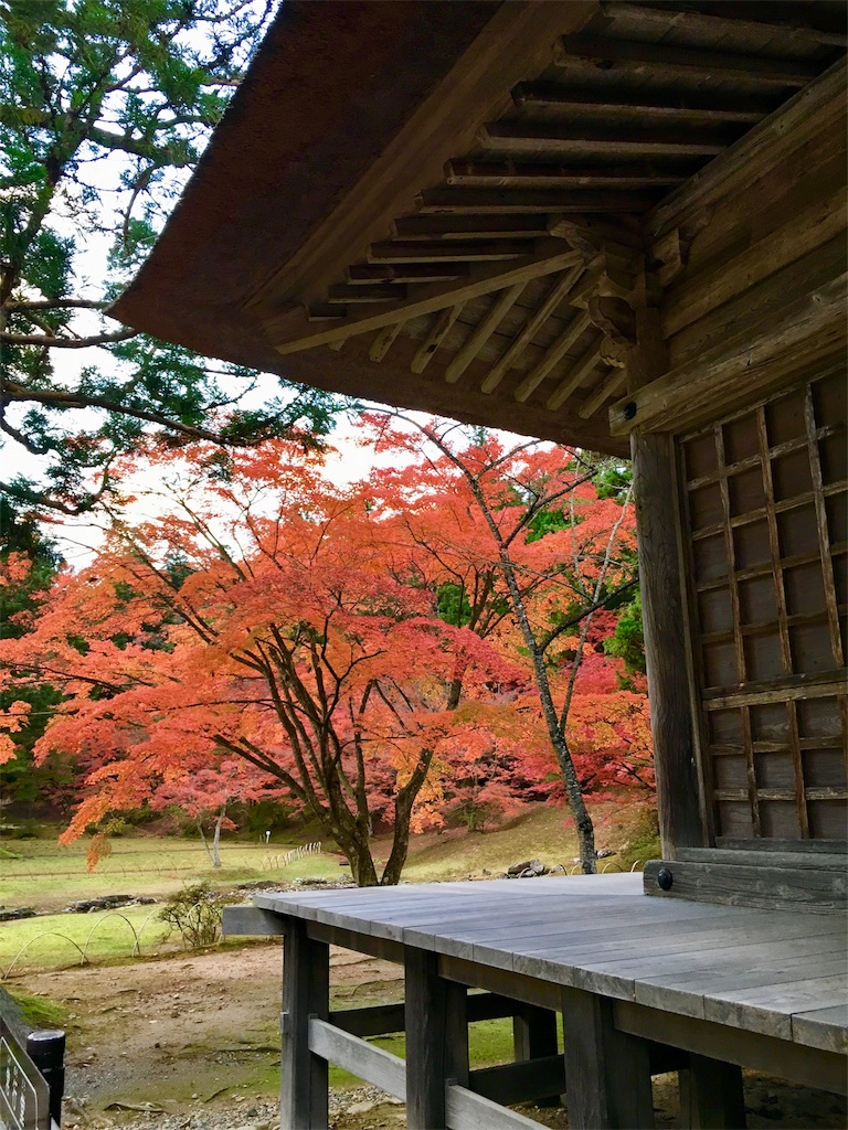 f:id:JAM21719800303:20171103183748j:image f:id:JAM21719800303:20171103183748j:image