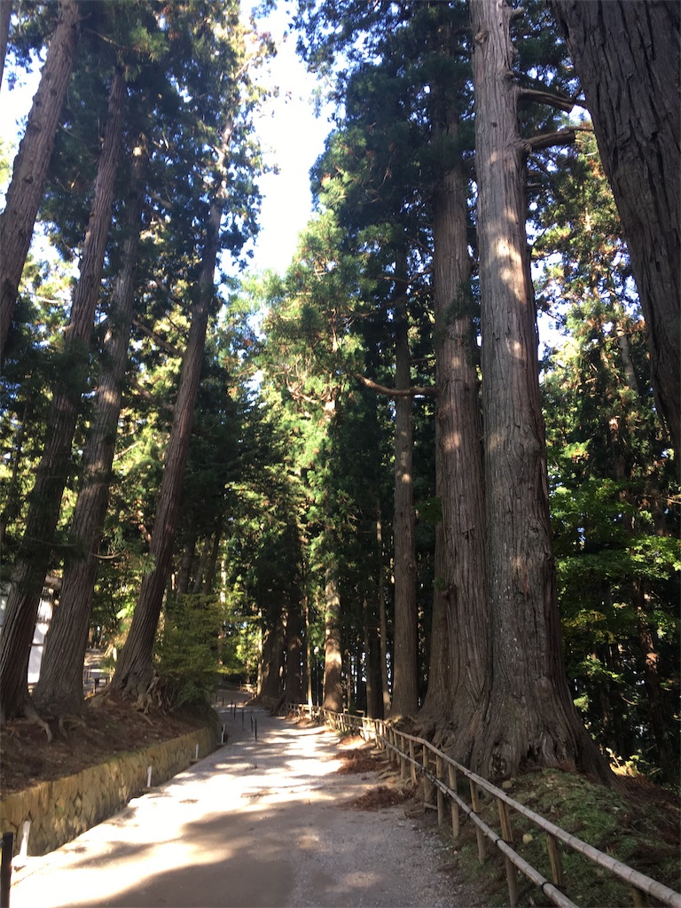 f:id:JAM21719800303:20171106230448j:image