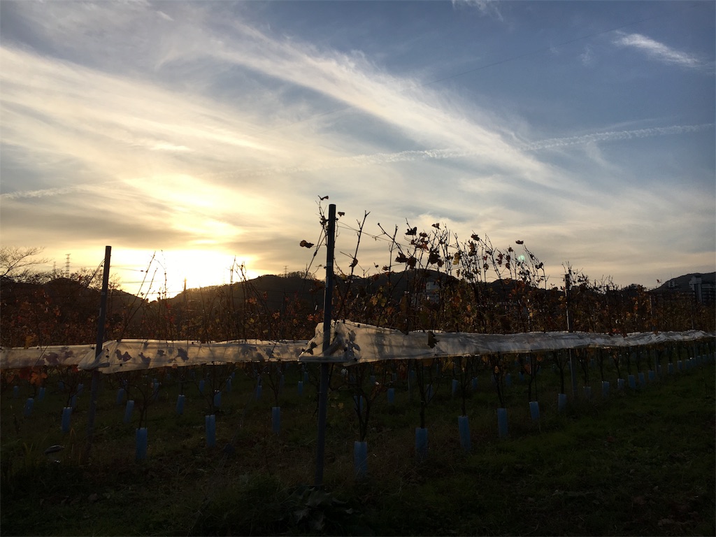 f:id:JAM21719800303:20171115091750j:image f:id:JAM21719800303:20171115091750j:image