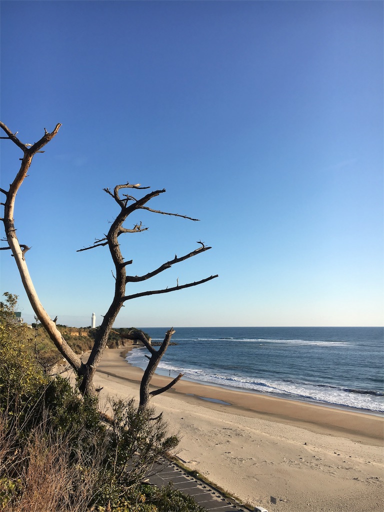 f:id:JAM21719800303:20171123192625j:image f:id:JAM21719800303:20171123192625j:image