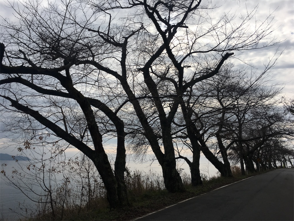 f:id:JAM21719800303:20181223193235j:image