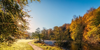 f:id:JAOBA:20200707034426j:plain