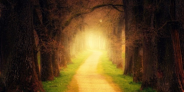 f:id:JAOBA:20200719051704j:plain