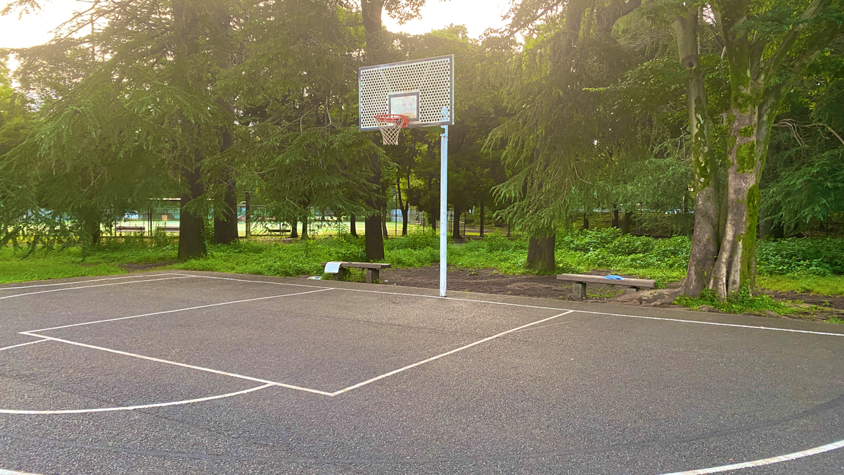 小金井 公園 バスケット コート