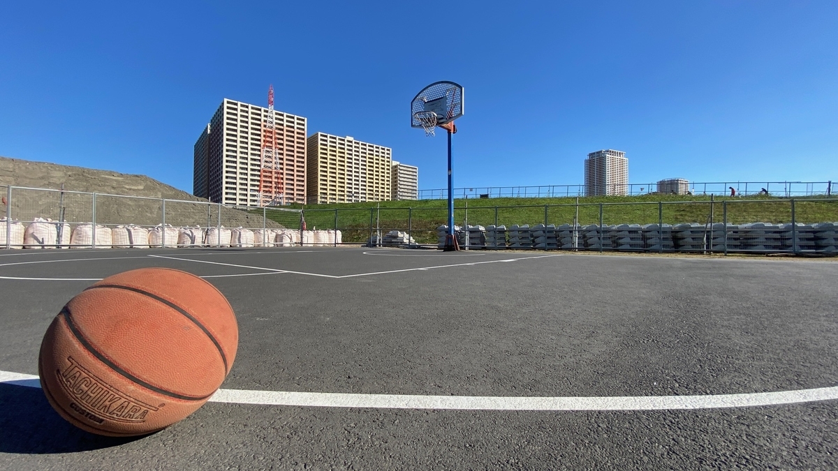 47 EDOGAWA RIVERBED GREEN SPACE / 江戸川河川敷緑地 - JAPAN