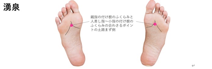 f:id:JAPTRANS:20210111182259j:plain