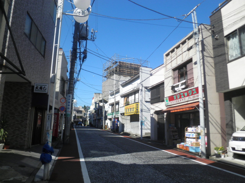 f:id:JASMINE:20101103105333j:image