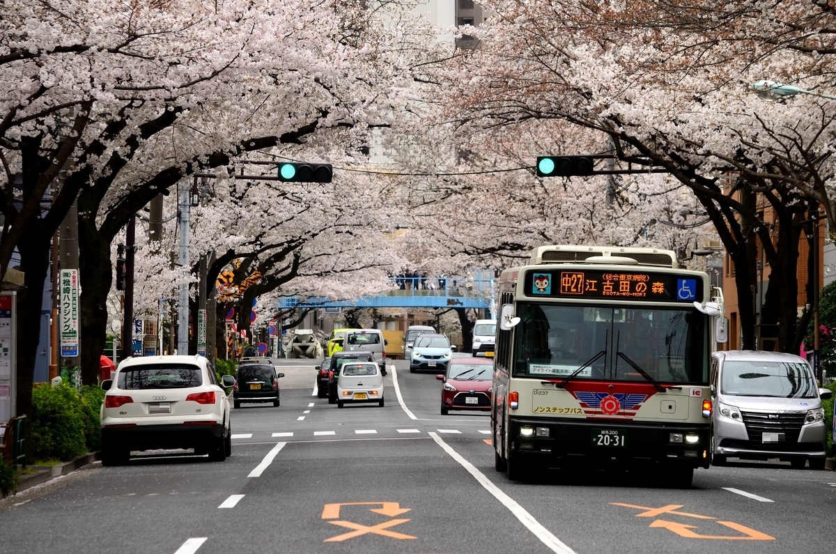 朝日バスとは 地理の人気 最新記事を集めました はてな