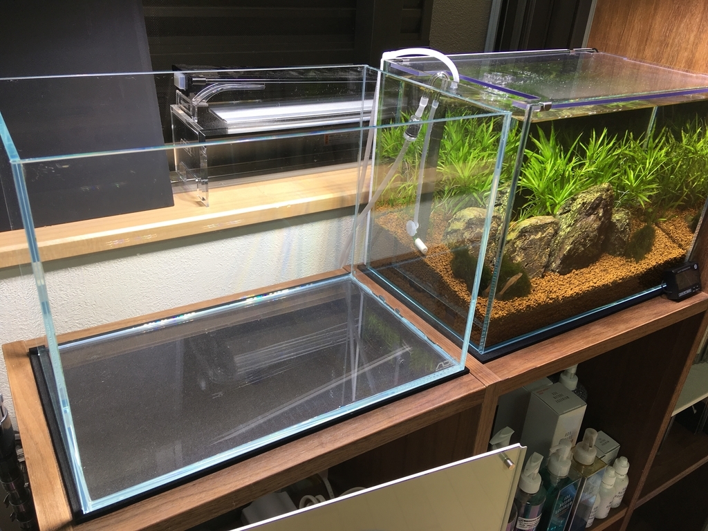 グラッシーコア いろんな魚と暮らす