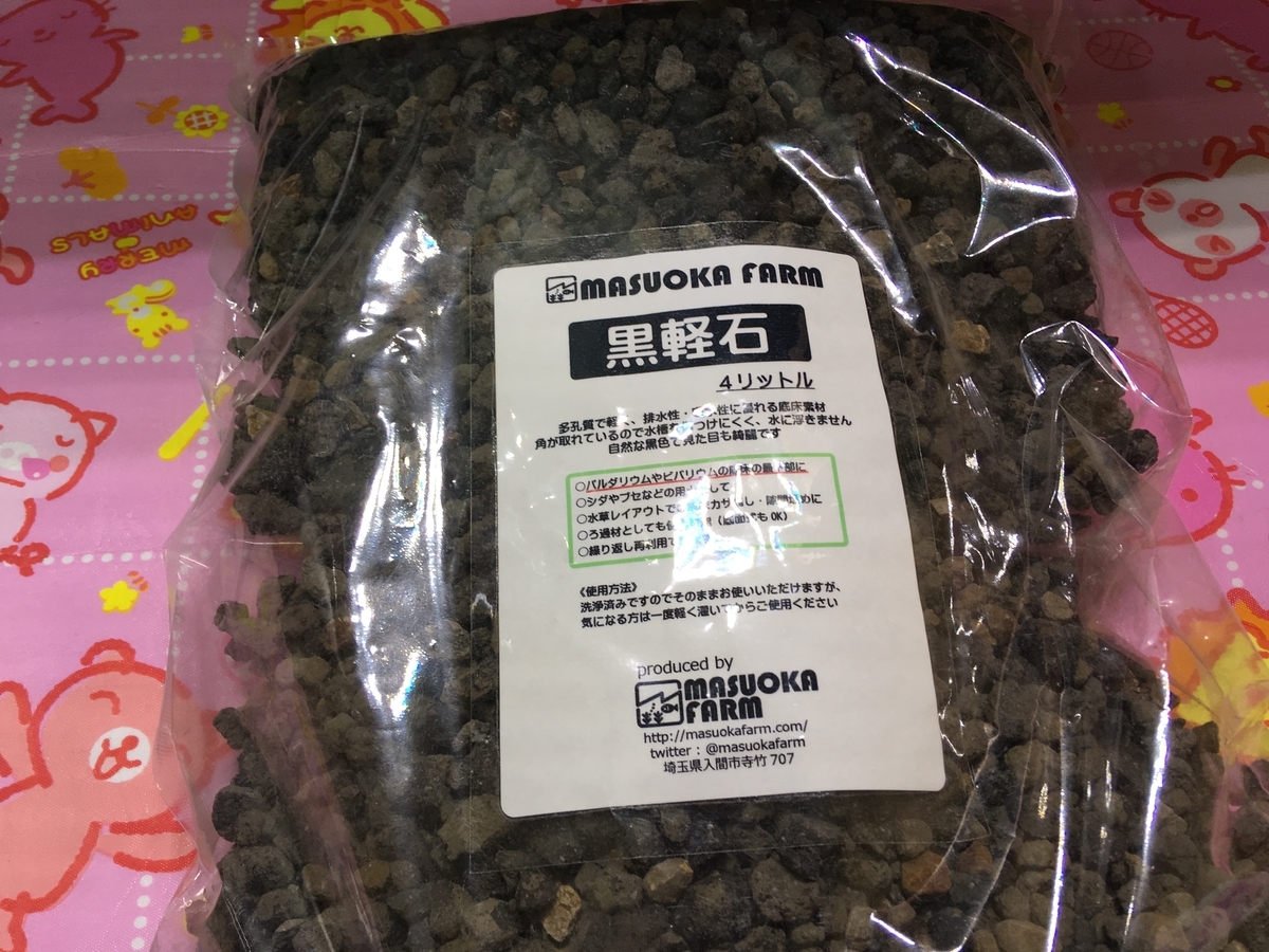60cm水槽立ち上げ 植栽 注水編 いろんな魚と暮らす 60cm水槽立ち上げ 植栽 注水編 いろんな魚と暮らす