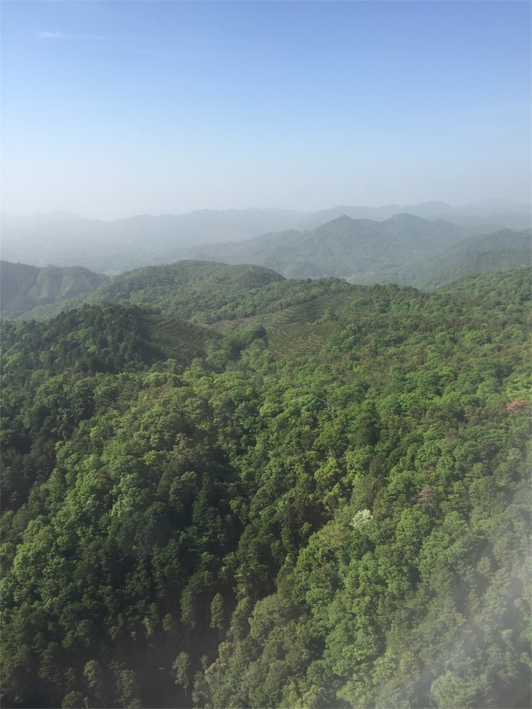 f:id:JGCSFC:20170513163422j:image f:id:JGCSFC:20170513163422j:image