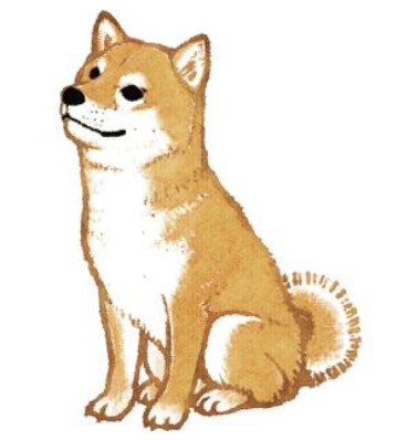 f:id:JH1LHV:20171231135505j:plain